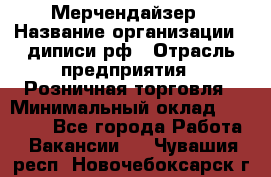 Мерчендайзер › Название организации ­ диписи.рф › Отрасль предприятия ­ Розничная торговля › Минимальный оклад ­ 25 000 - Все города Работа » Вакансии   . Чувашия респ.,Новочебоксарск г.